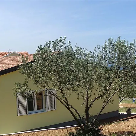 Antonio